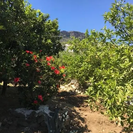La Hermosa Vista Bed & Breakfast Alora